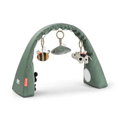 Activity Gym Parent