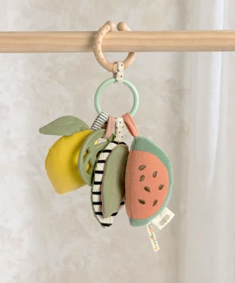 Activity Linkie Toy