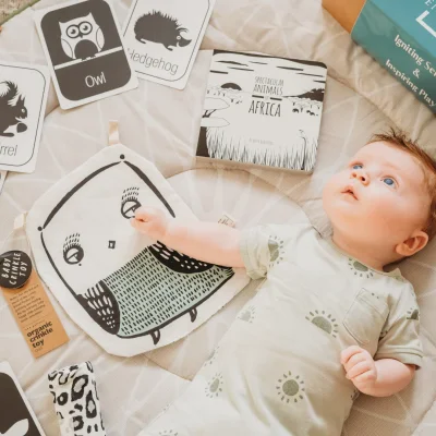 Baby's First Year Subscription Box | Newborn - Default