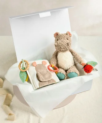 Babyplay - Hippo & Book Gift Box