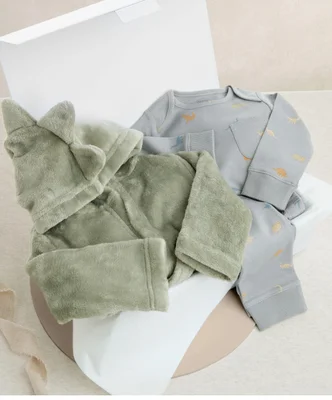 Bedtime Dinosaur Giftbox - 9-12 Months