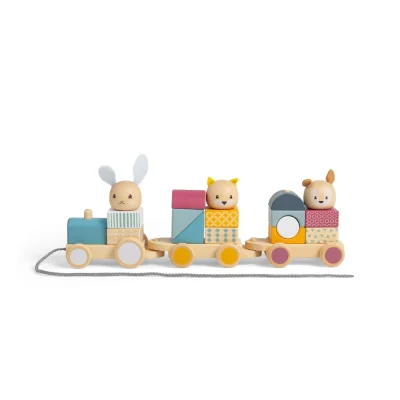 Bigjigs Toys Activity Pull Along Train - Default
