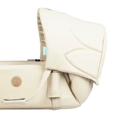 Canopy for SleepCarrier