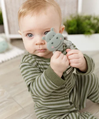 Cheeky Chompers Chewy the Hippo Textured Baby Teether