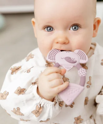 Cheeky Chompers Darcy the Elephant Textured Baby Teether