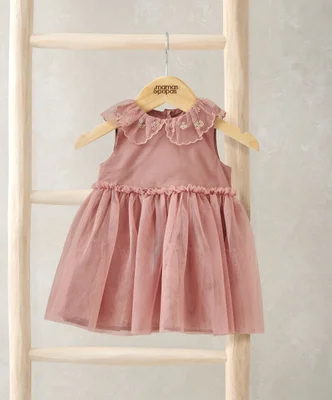 Collar Mesh Dress