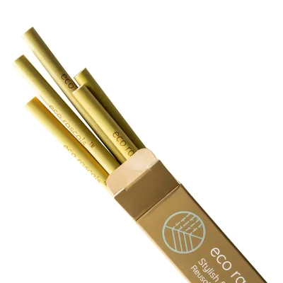 eco rascals Pack of 5 Bamboo Straws - Default