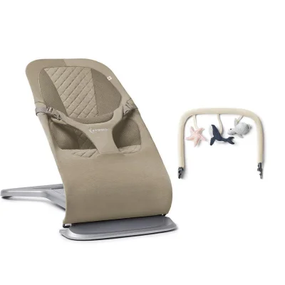 Ergobaby Evolve Baby Bouncer
