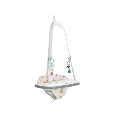 Graco Bumper Jumper Bouncer