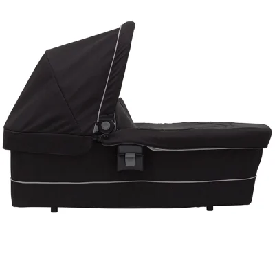 Graco Time2Grow Carrycot