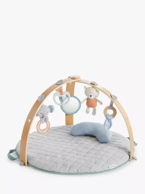 Ingenuity Cozy Spot Reversible Activity Gym - Default