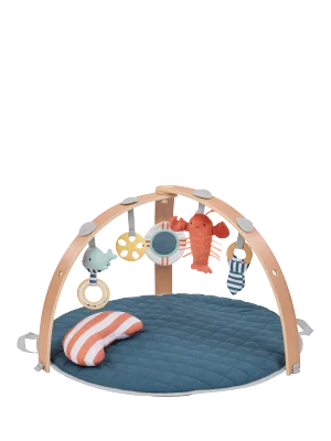 Ingenuity Cozy Spot Reversible Duvet Activity Gym, Harbor Haven - Default