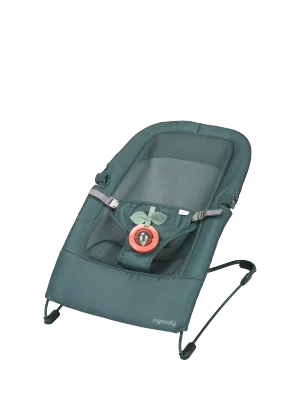 Ingenuity Stow & Go Compact Folding Baby Bouncer, Luxe Evergreen - Default