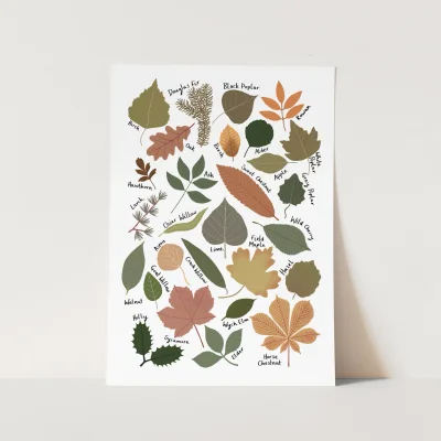 Kid of the Village Leaf Chart Fine Art Print