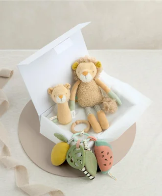 Lenny Lion Babyplay Gift Box
