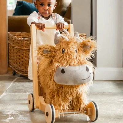 Little Bird Told Me - Push-Along - Highland Cow - Hubert