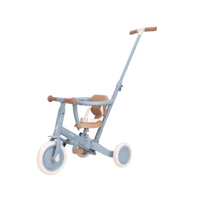 Little Dutch 4 in 1 Trike