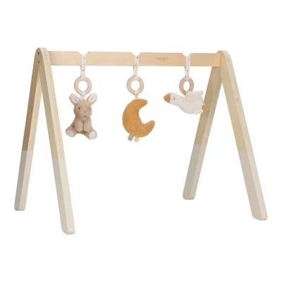 Little Dutch Baby Play Gym