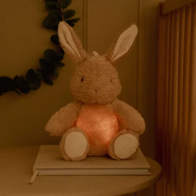 Little Dutch Cuddle Baby Bunny Light & Sound