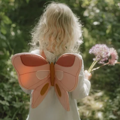 Little Dutch Fairy Wings and Magic Wand - Default