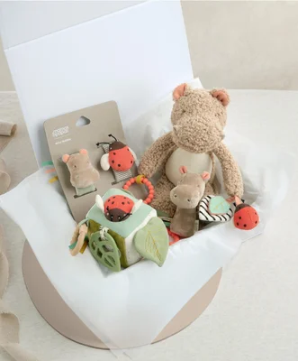 Henry Hippo Babyplay Giftbox