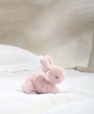 Soft Toy - Bunny
