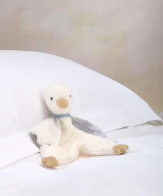 Welcome to the World Comforter