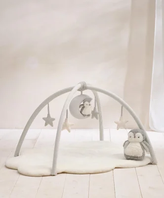 Wish Upon A Cloud Soft Baby Playmat & Gym