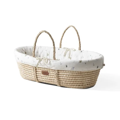 Moses Basket Adventure