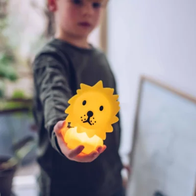 Mr. Maria Lion Bundle Of Light
