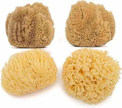 Natural Ocean Sponges | Soft, Natural &Yellow sea sponges for Newborn Babies Bath 0-8M | Facial Cleansing, for Arts & Craft Set - Size XSmall (6,5-8,5cm) โ Pack of 4 pcs (2&2) - 0-24M (Pack Of 1)