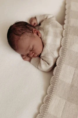 Organic Cotton Gingham Knit Baby Blanket - Pebble/Oat