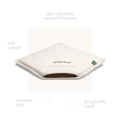 Organic Dimple Quilted Moses Basket, Mattress & Walnut Rocking Stand Juniper — image 5