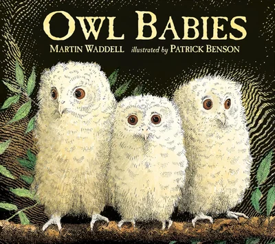 Owl Babies - Kindle Edition