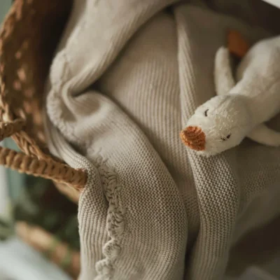 Scallop Knit Blanket