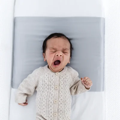 Silk Bassinet Sleeve