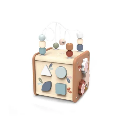 Speedy Monkey 5 in 1 Activity Cube