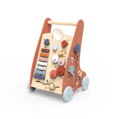 Speedy Monkey Multi Activity Walker