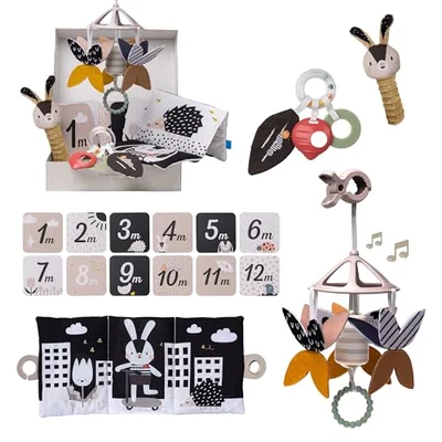 Taf Toys Black & White Newborn Gift Set. 10 High-Contrast Baby Toys for Newborns Includes Mobile, Sensory Book Rattle & More. Essential Tummy Time Toys. Ideal for Infants Boys & Girls 0 Months + - Assorted / 35.5 x 26 x 7 cm (14 x 10.3 x 2.8 inches)