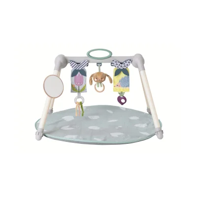 Taf Toys Foldable Gym