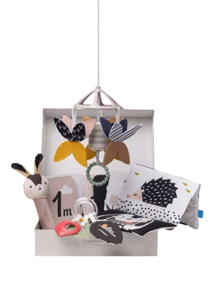 Taf Toys Newborn Black & White Kit - 0-1m