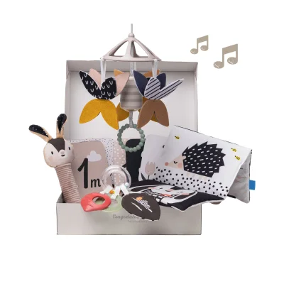 Taf Toys Newborn Kit