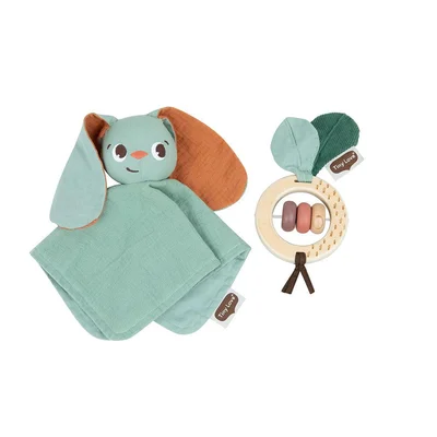 Tiny Love Gift Set