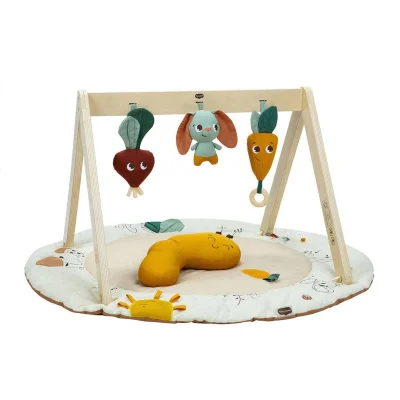Tiny Love Luxe Gymini Activity Gym