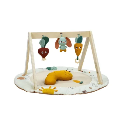 Tiny Love Luxe Gymini Activity Gym